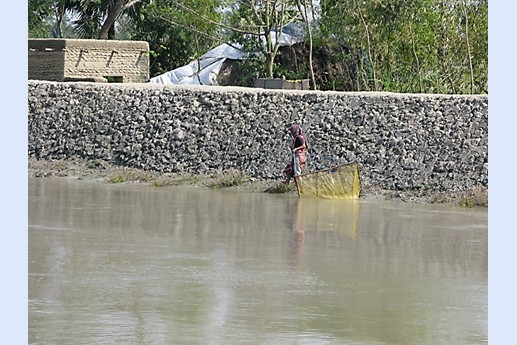 Viaggio in India 2008 - Sunderbans